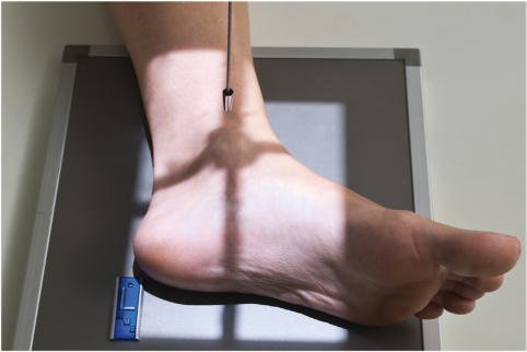 Fig. 6.90 Gleznă (articulație talocrurală) mediolaterală.