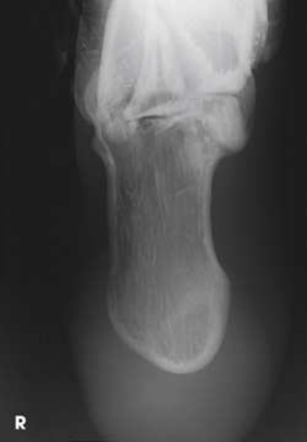 Merrill — pagina 505, imaginea 3