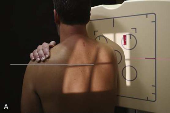 Merrill — pagina 429, imaginea 3