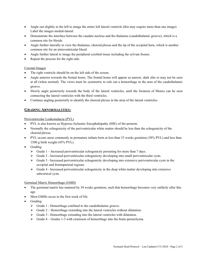 Creier neonatal — pagina 2