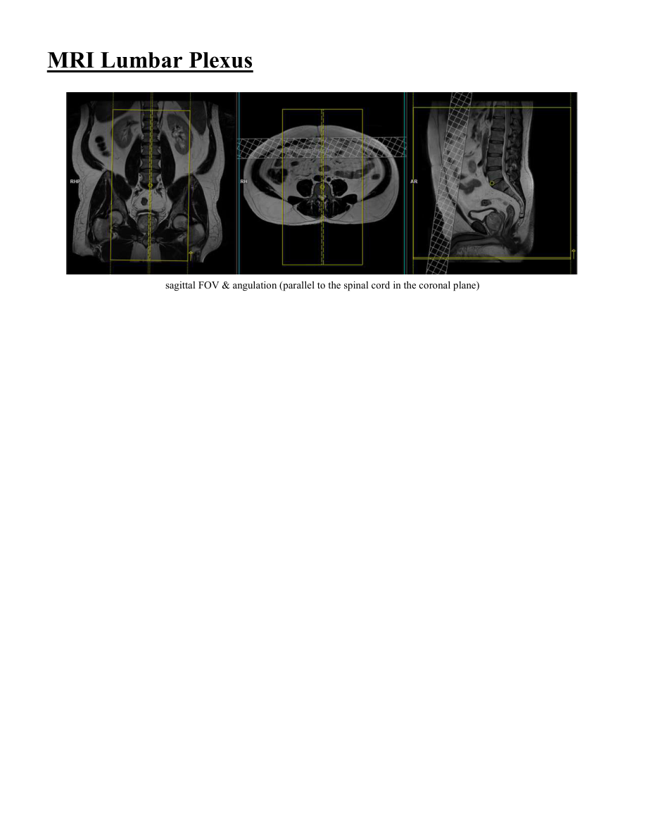 Plex lombar — pagina 2